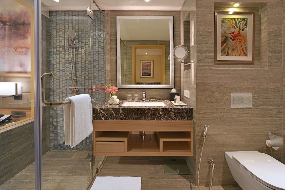 Radisson Mumbai Andheri MIDC 19/65