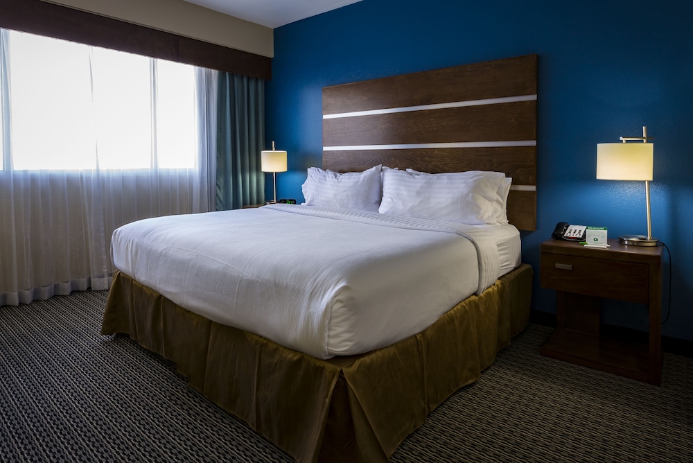 Holiday Inn Houston Downtown 26/77
