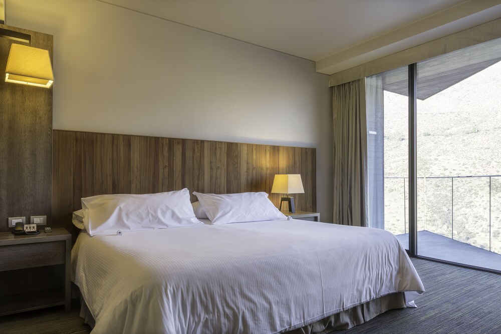 Enjoy Santiago Hotel Del Valle 17/58