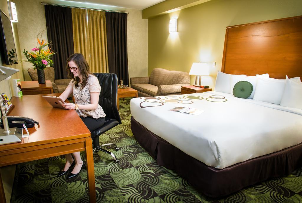 Business, Spa, Suite, King Bed