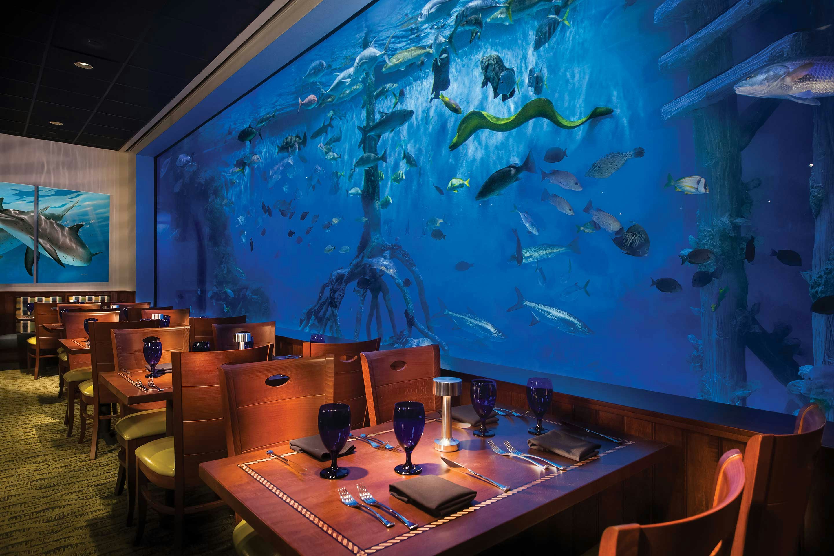 RumFish Beach Resort by TradeWinds 35/59
