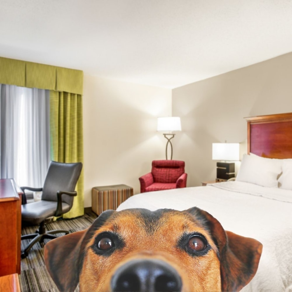 Hampton Inn By Hilton Bowling Green 14/36