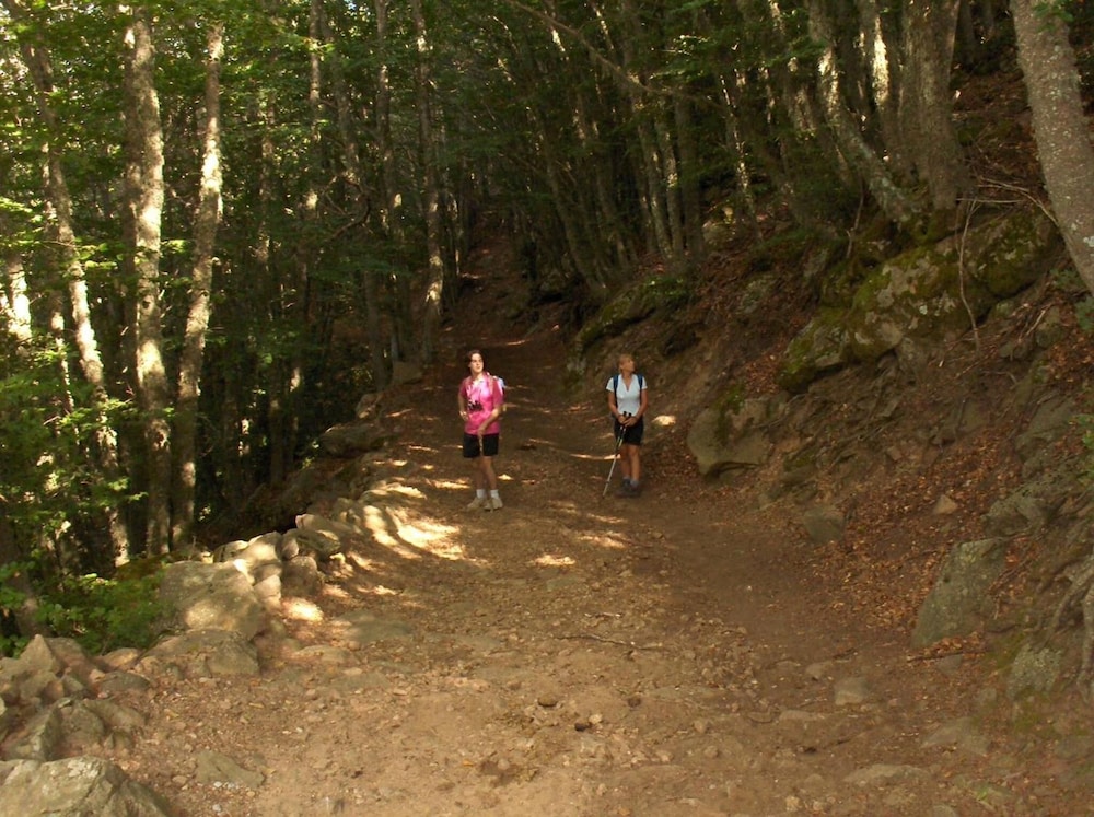 Paradiso Delle Madonie 42/56