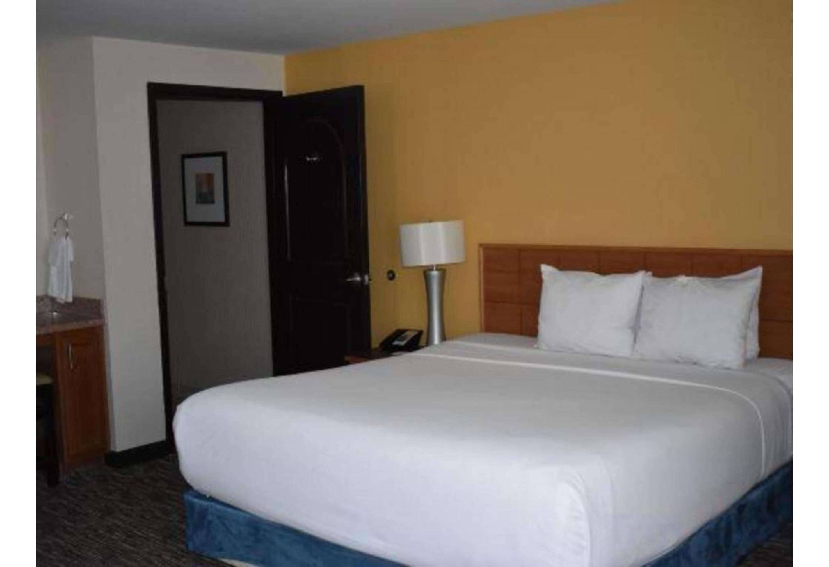 Room, King Bed