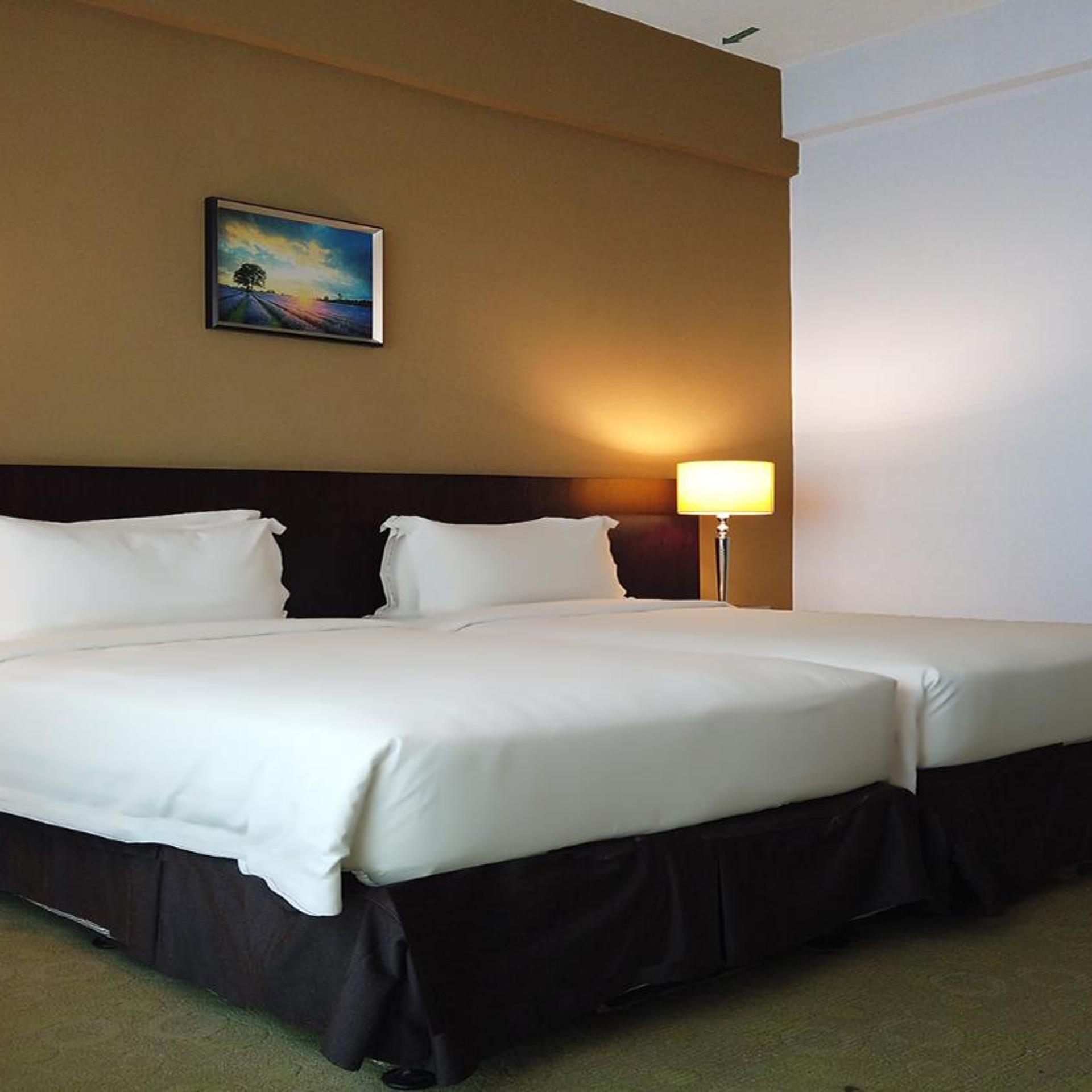 Room, Mountain or City View