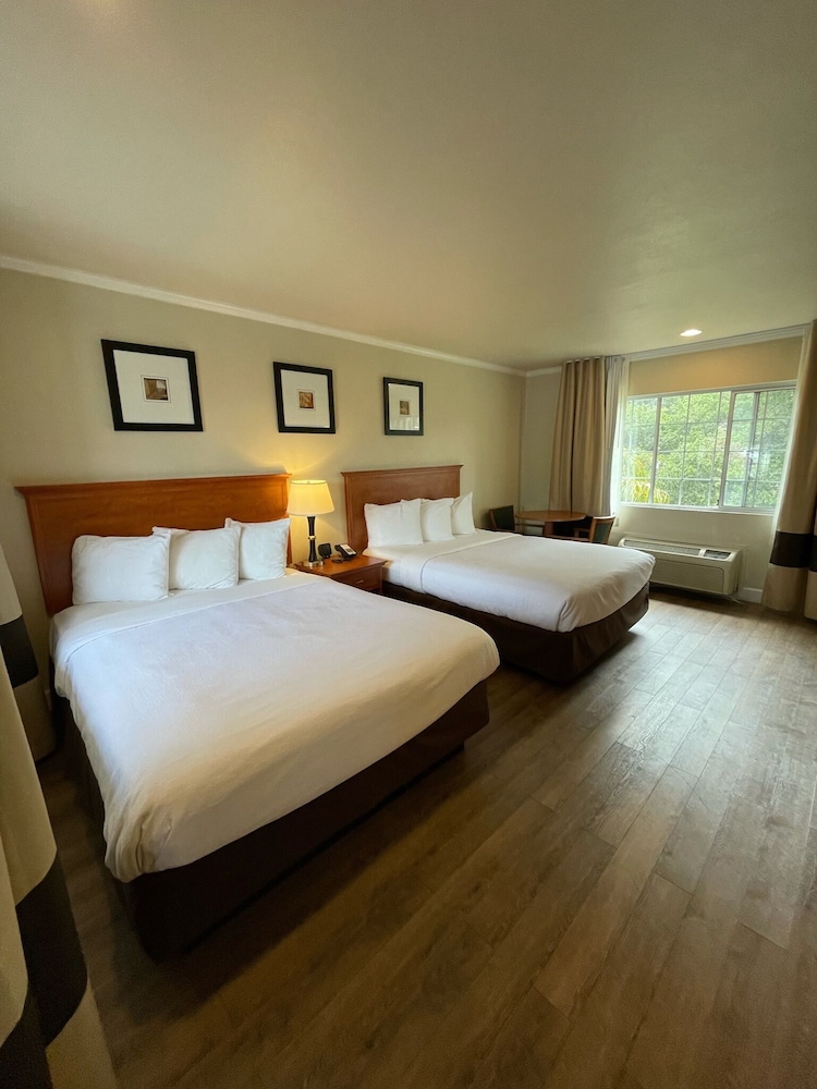 The Inn At 1252 Monterey 10/33