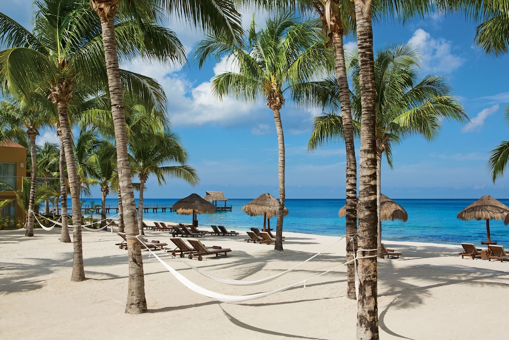 Secrets Aura Cozumel - Adults Only 59/67