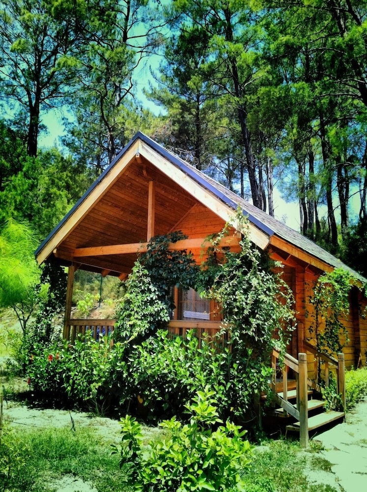 Olympos Village Hotel photo2