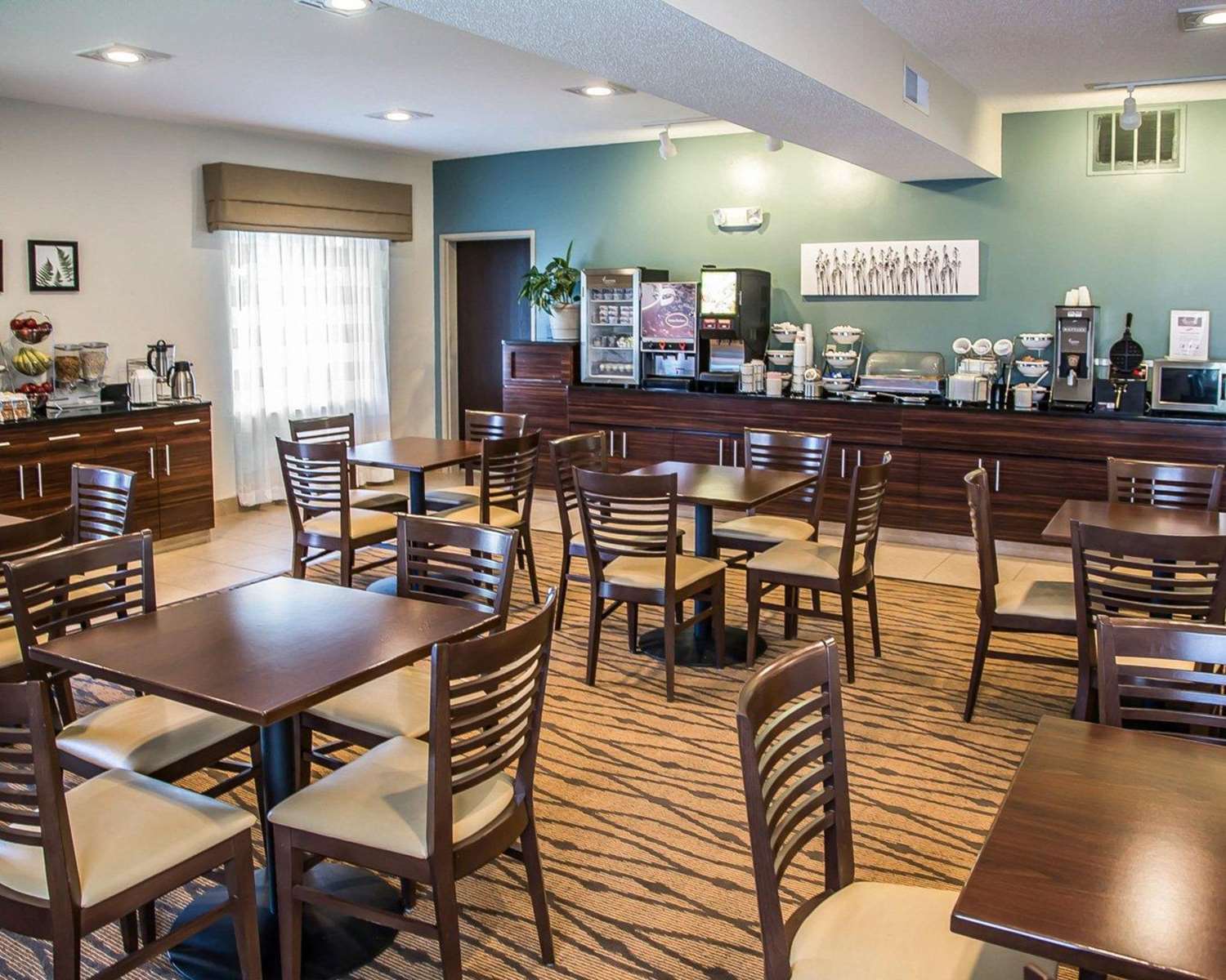 Sleep Inn & Suites Davenport - Quad Cities 13/19