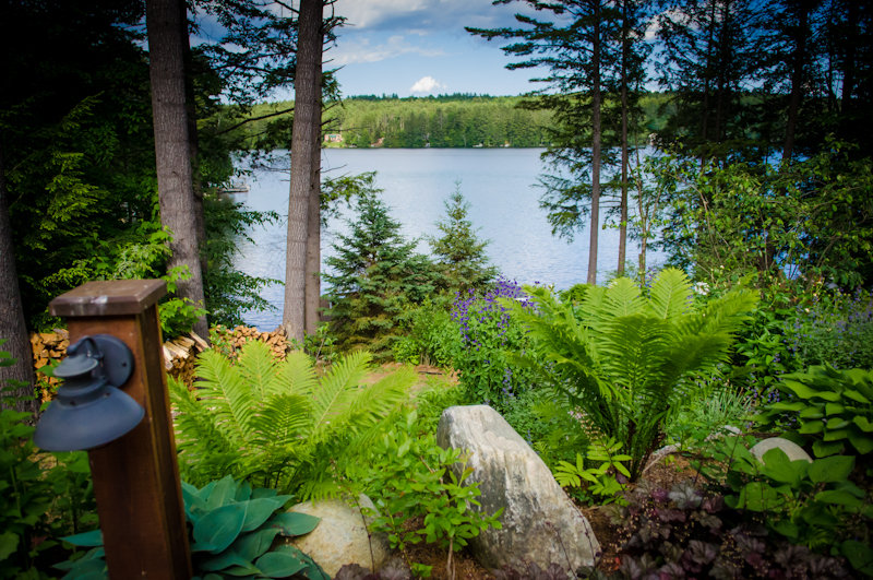 The Fern Lodge 26/41