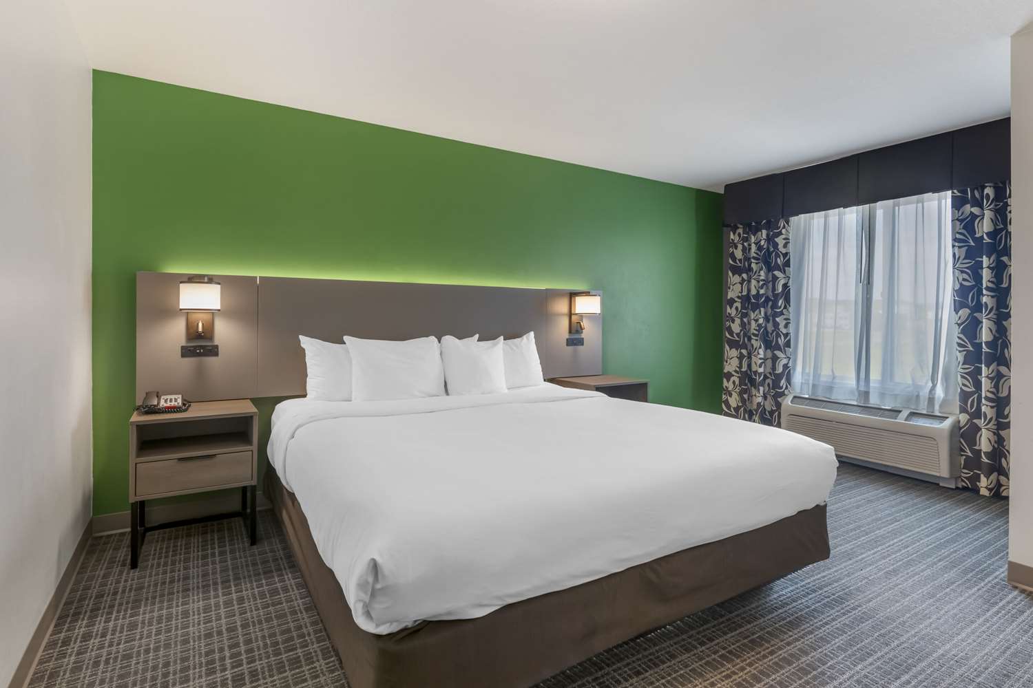 Comfort Suites Conference Center Rapid City 4/14