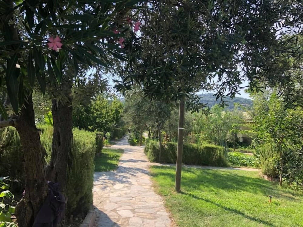 Assos Büyük Yildizsaray Otel 32/50