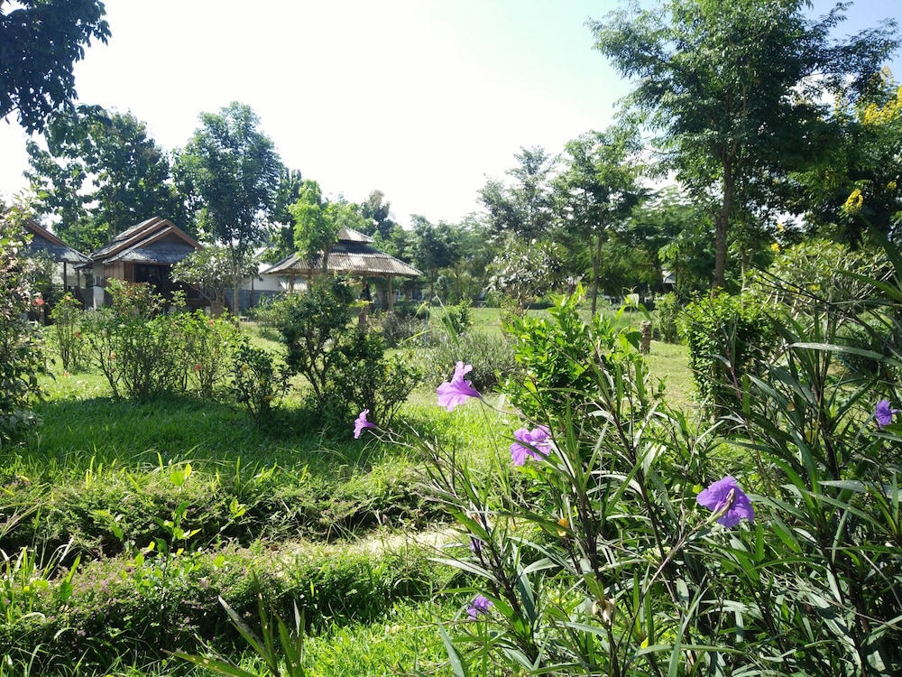 Pai Park Cottage photo2