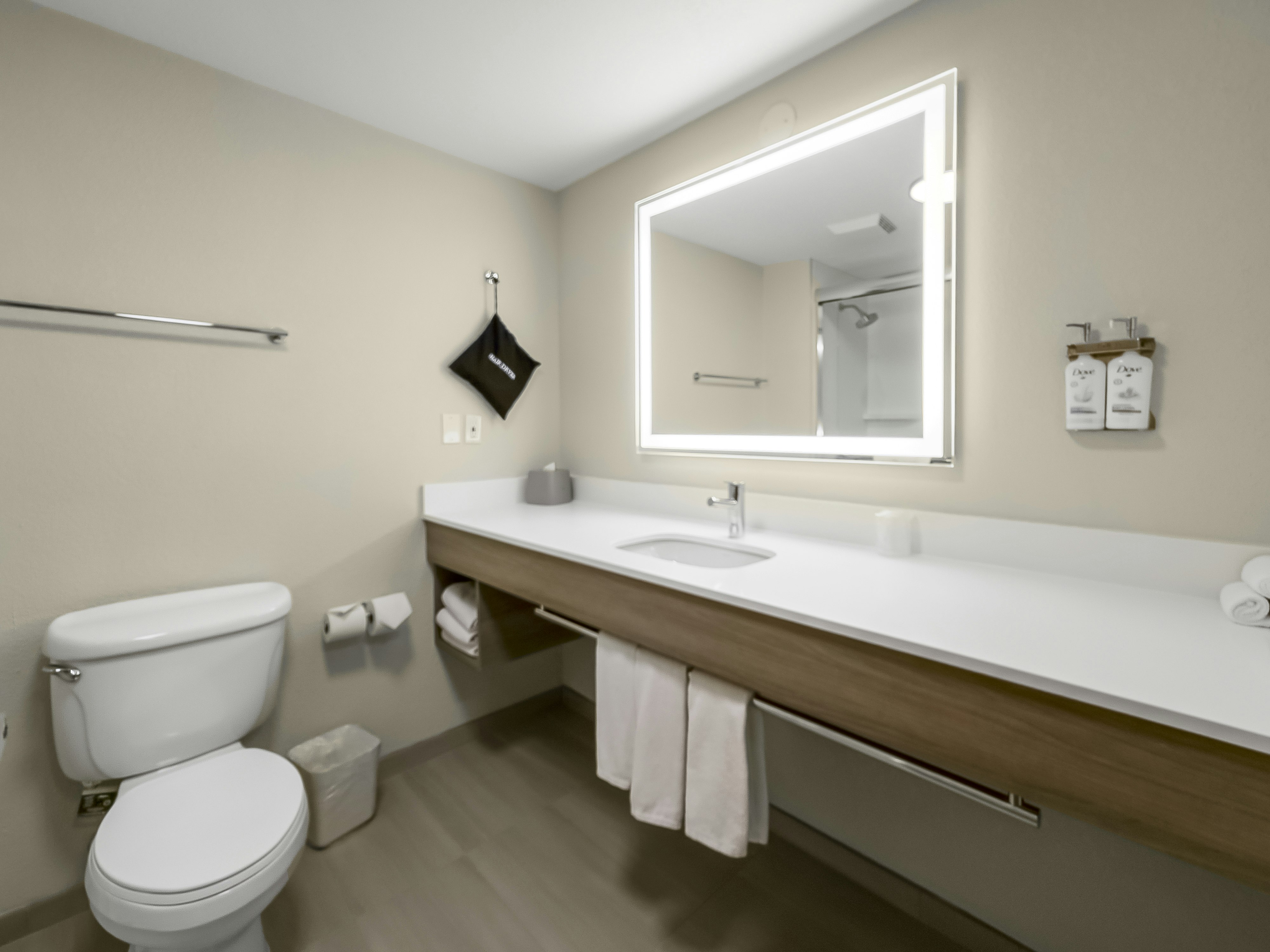 Holiday Inn Express Salt Lake City South-Midvale 64/66