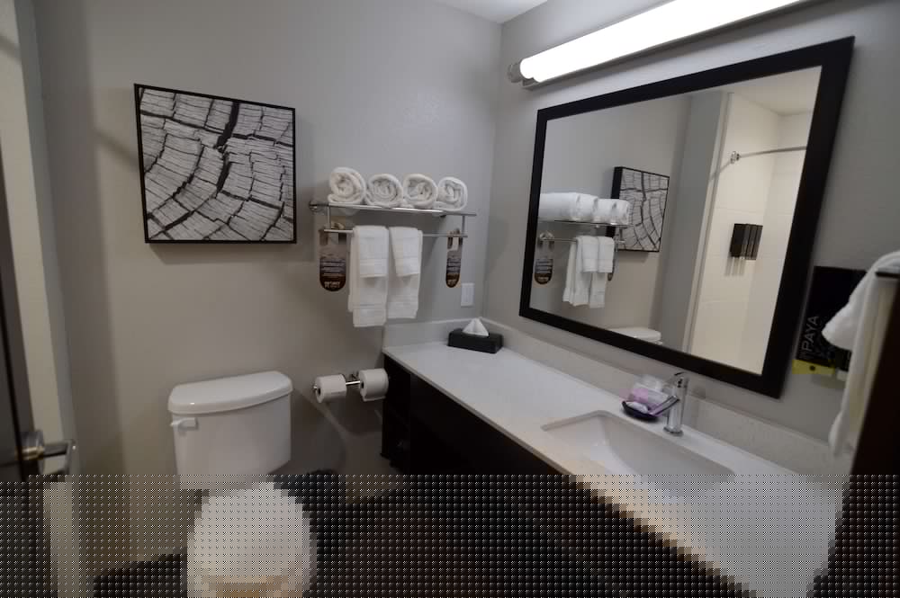 Best Western Plus Bay City Inn & Suites 19/44