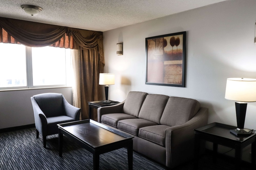 Wyndham Houston near NRG Park/Medical Center 38/56