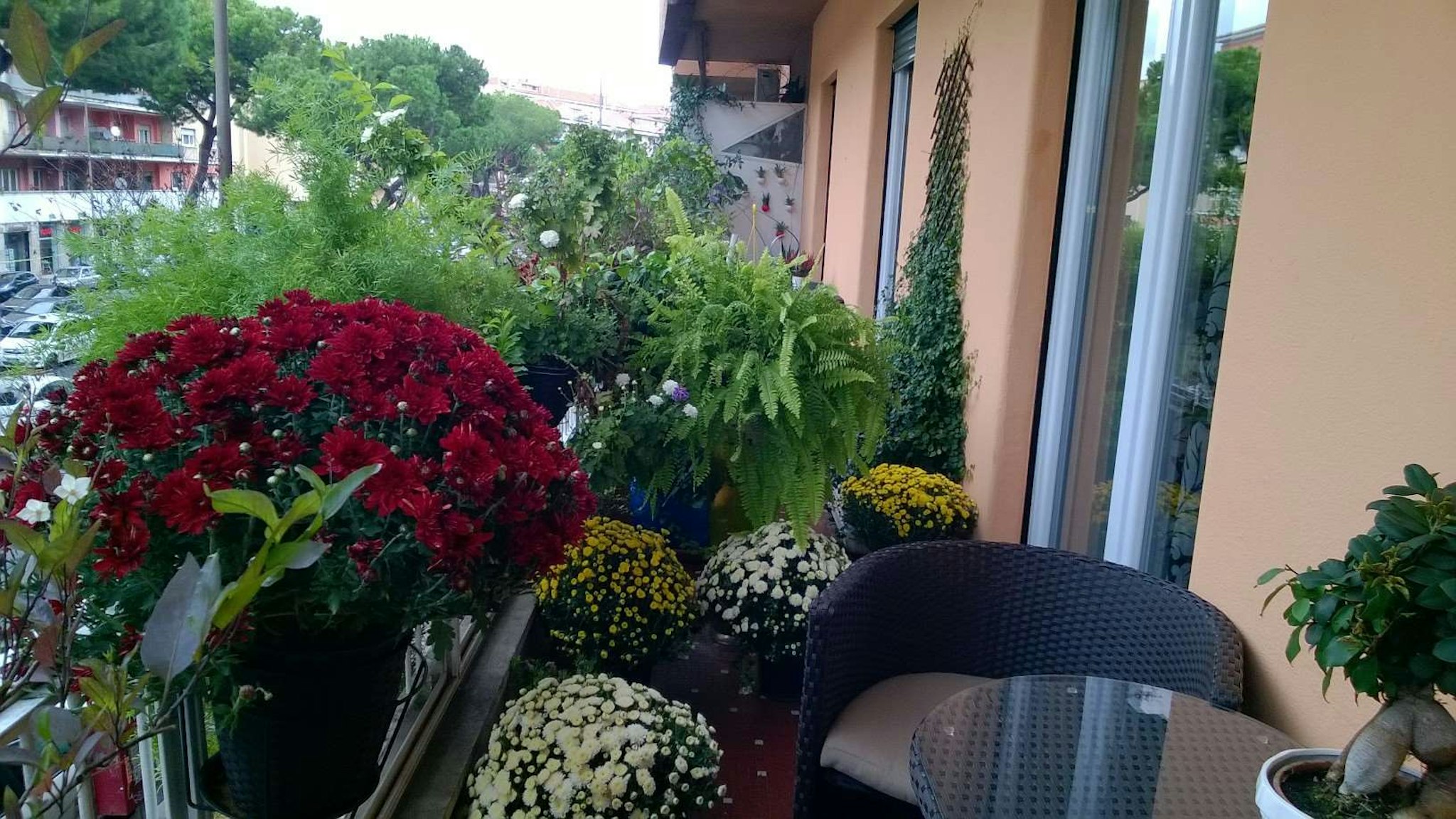 Gregorio Vii Luxury Suites 16/19