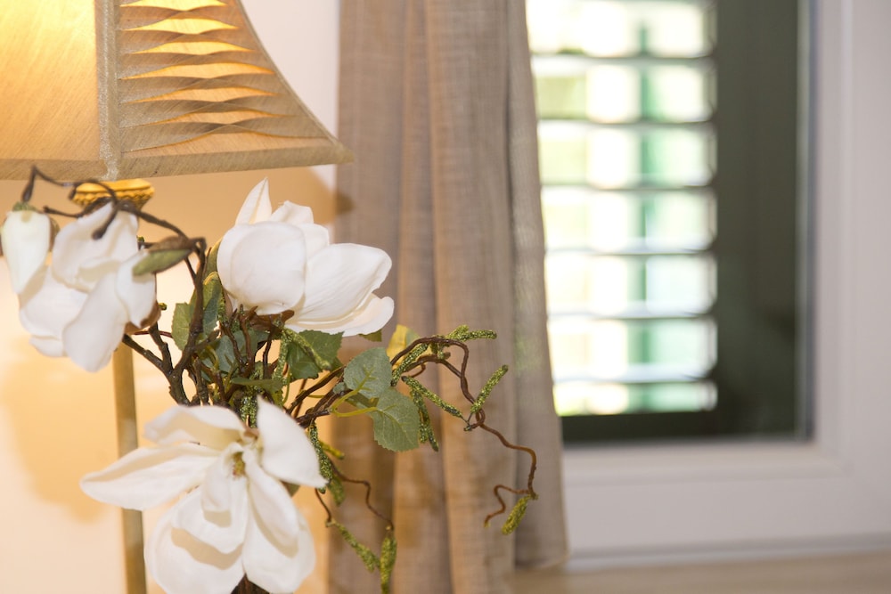Boutique Guest Accommodation Zephyrus photo5