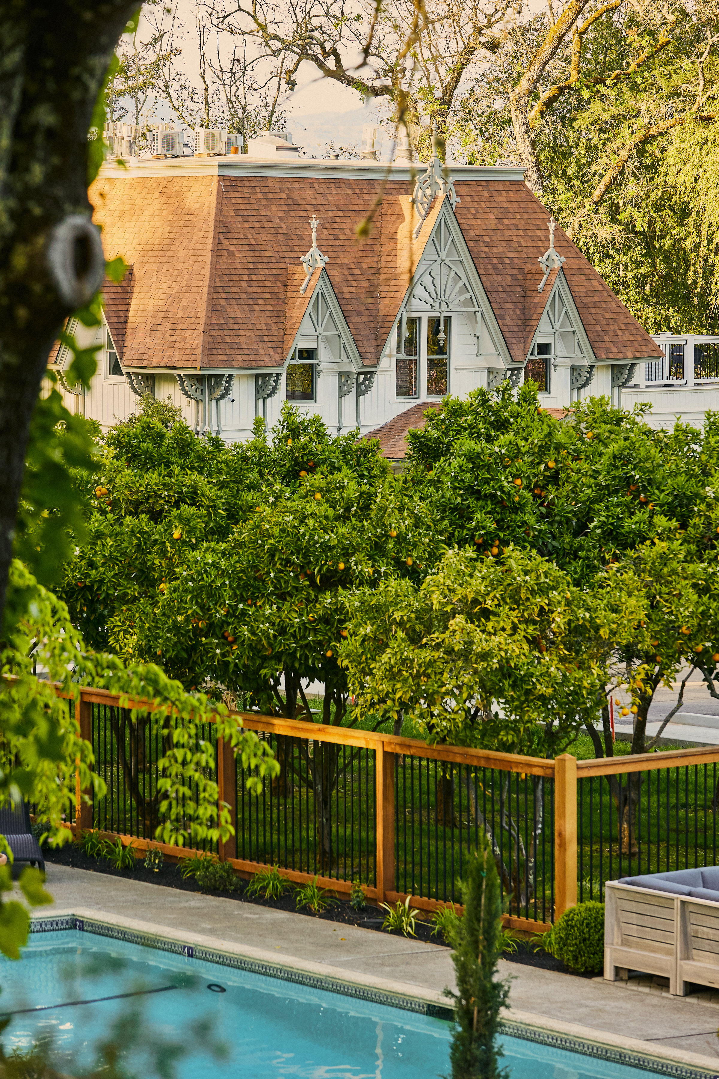 The Madrona 5/6
