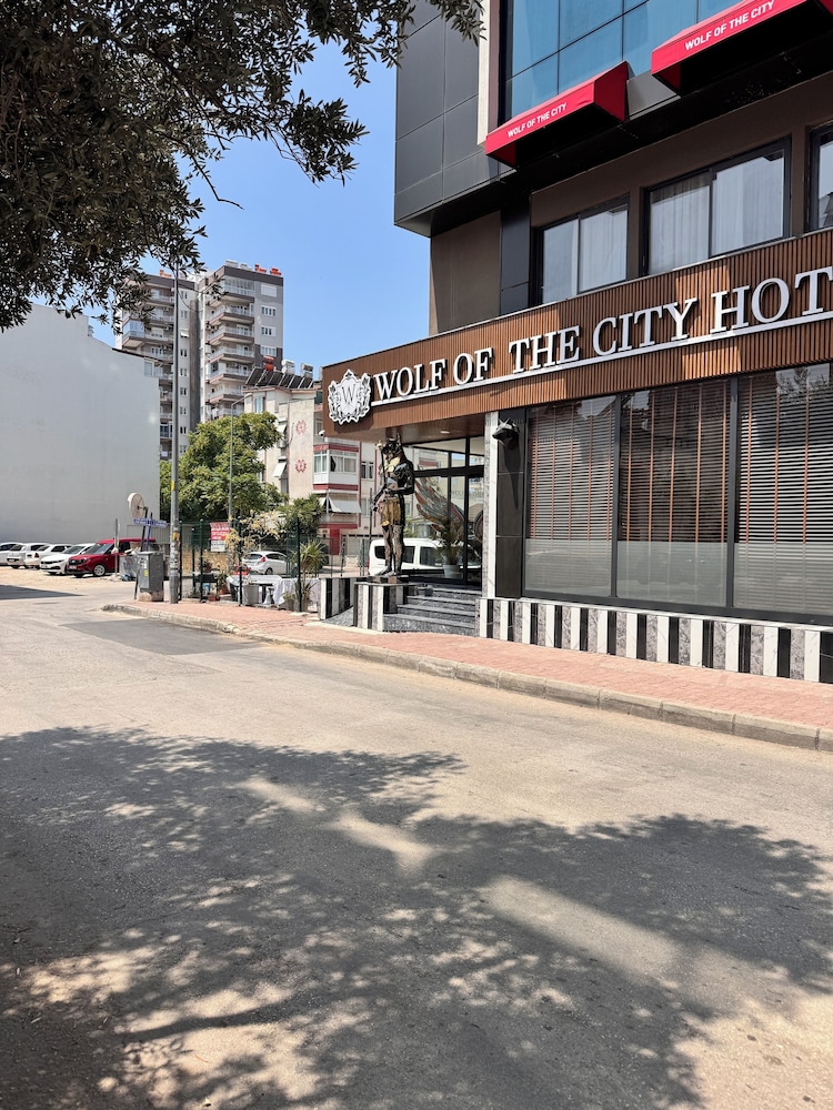 Wolf Of The City 39/48