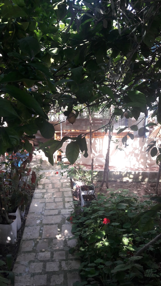 Likya Pansiyon 42/50