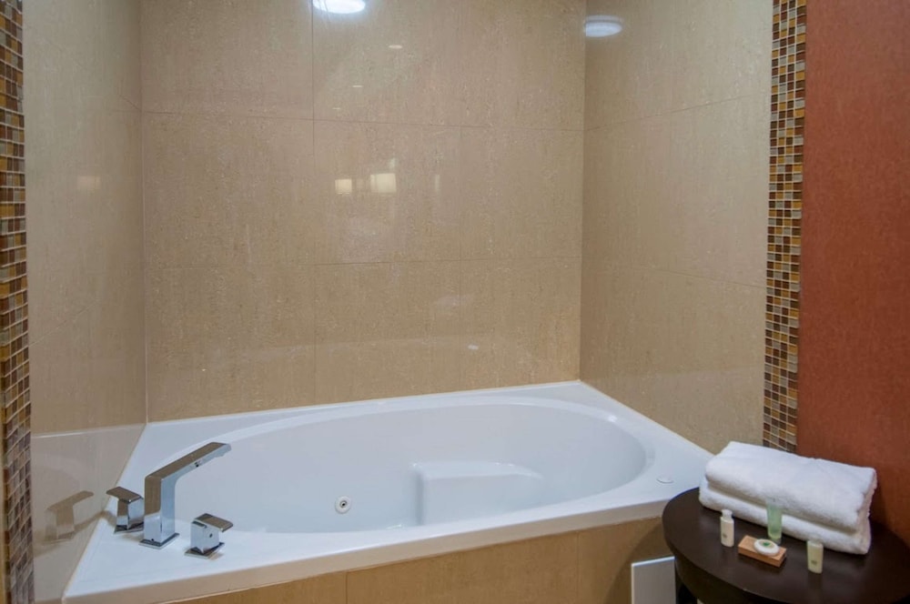 Best Western Plus JFK Inn & Suites 22/49