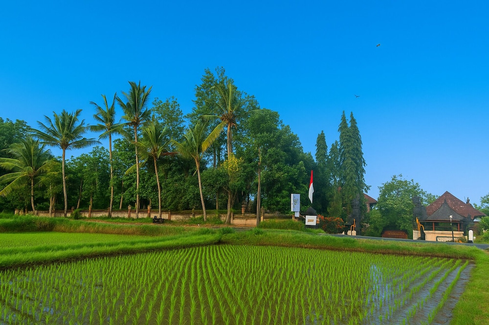 Puri Saron Madangan Hotel 45/50