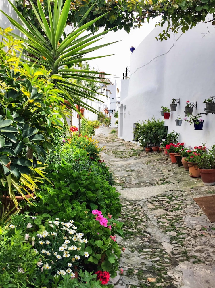 La Casa Del Califa 45/50
