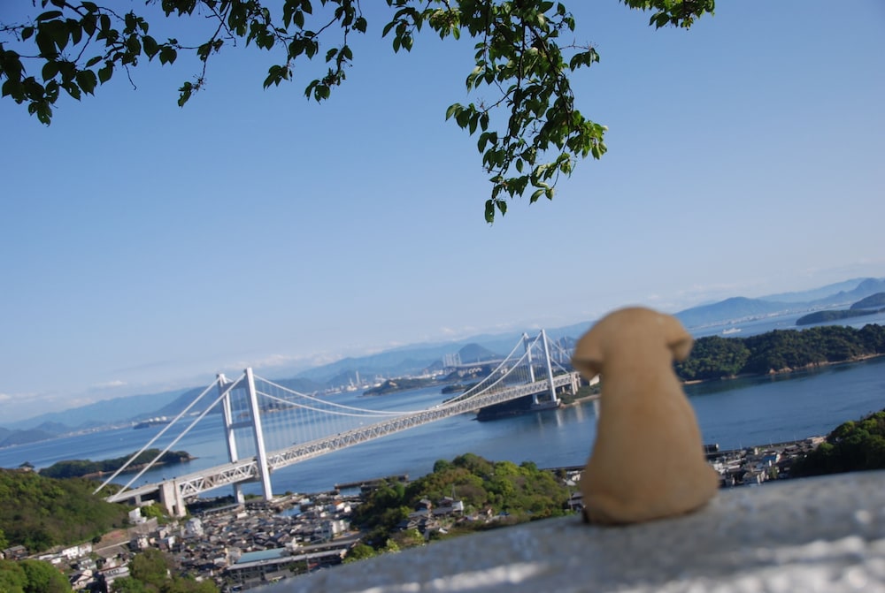 Setouchi Kojima Hotel Kurashiki 45/50