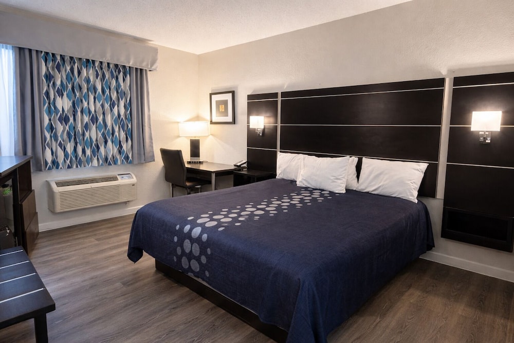 Room, King Bed