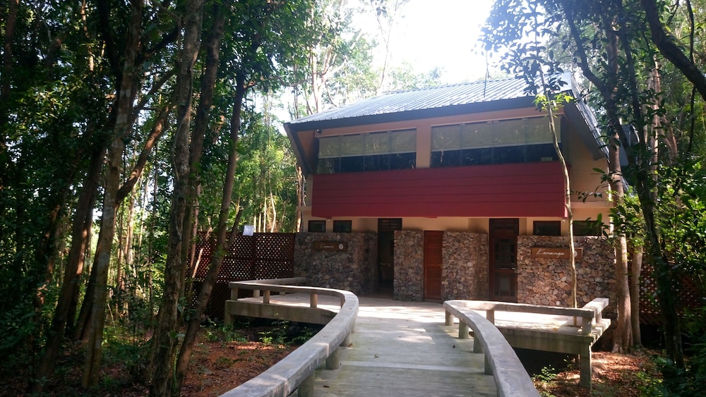 The Kasturi 2/33