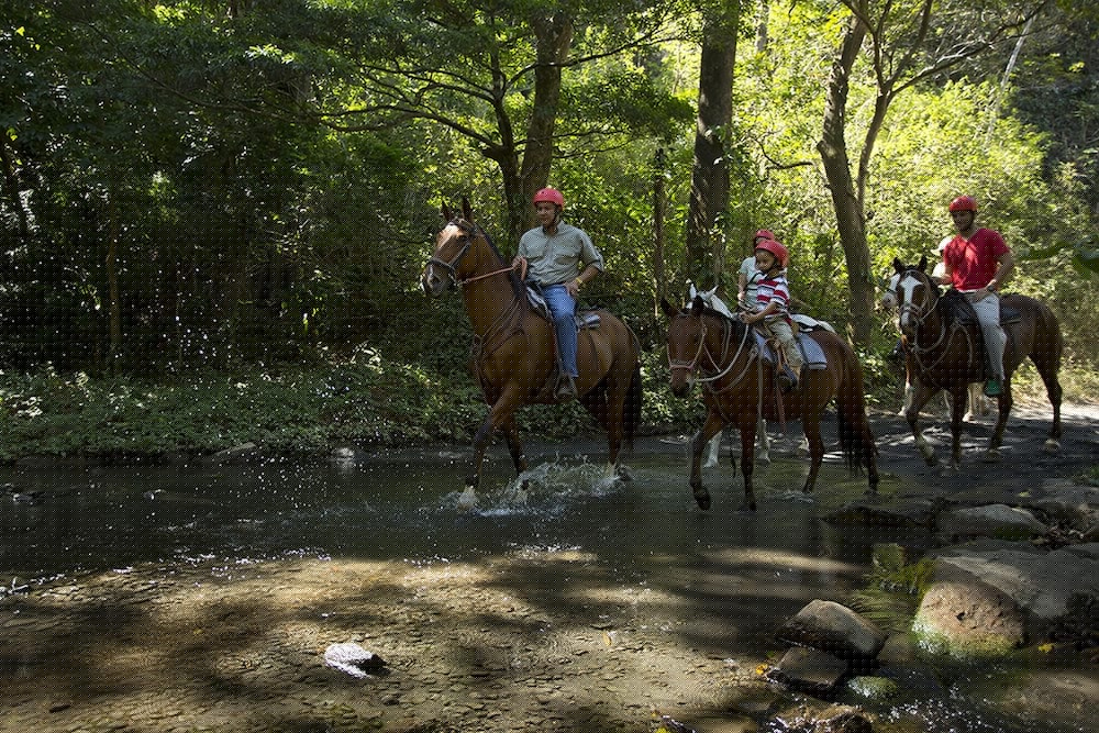 Buena Vista Del Rincon Eco Adventure Park, Hotel & Spa 27/66