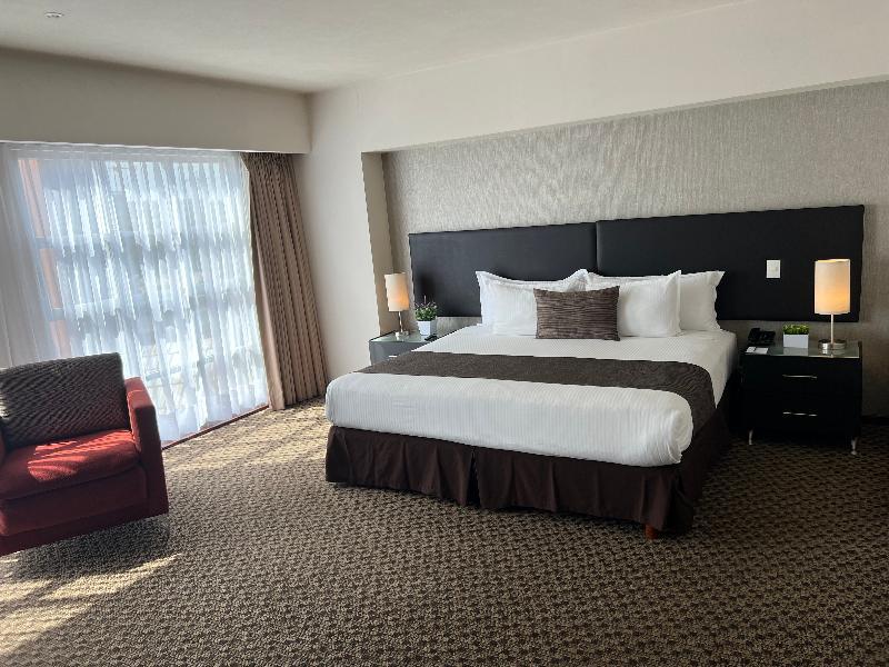 Executive, Suite, Apartment