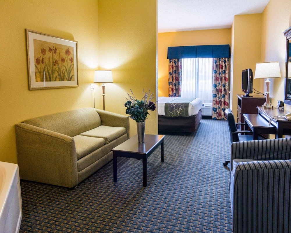 Comfort Suites Nacogdoches 31/44