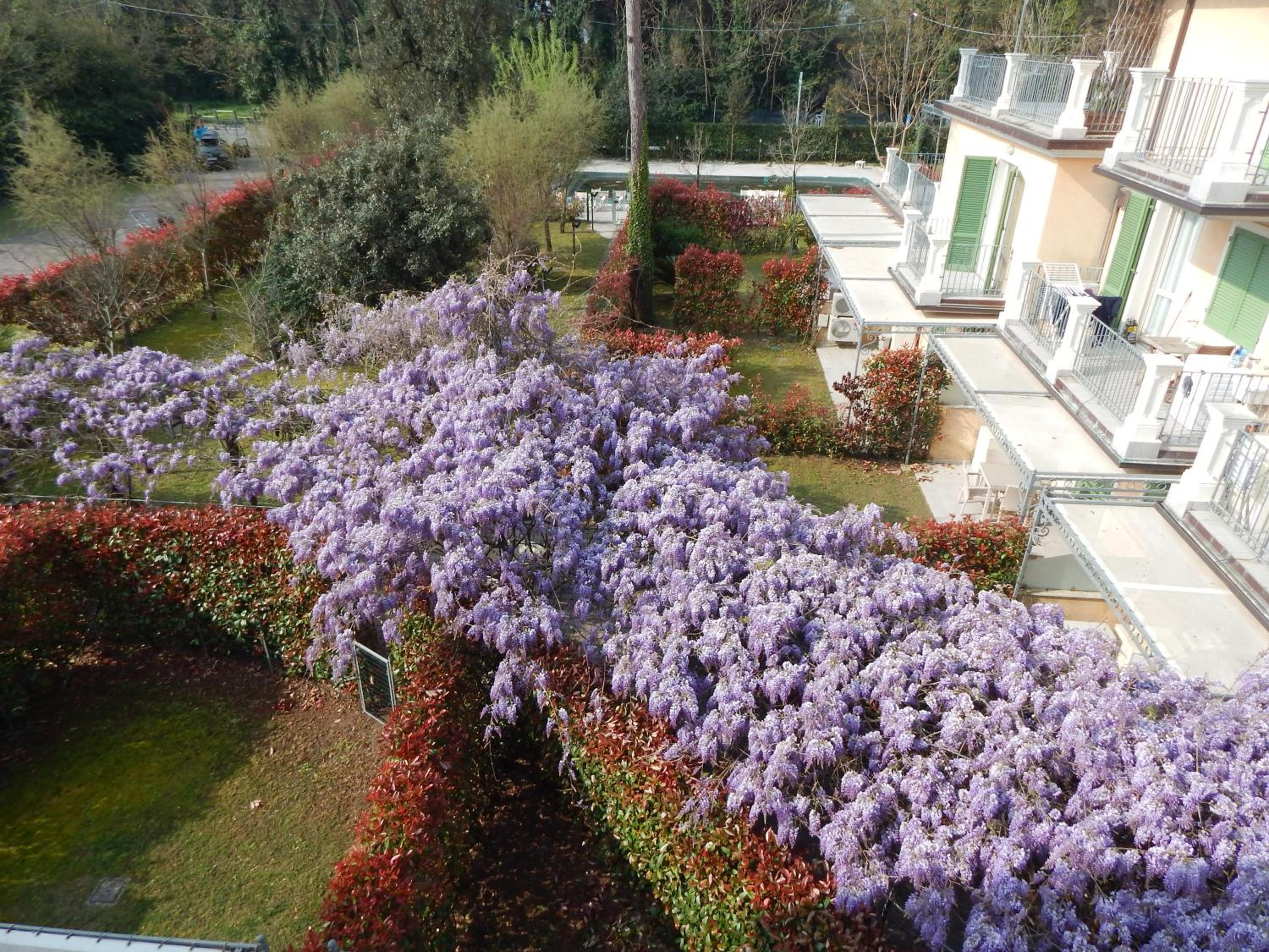 La Pergola 47/56