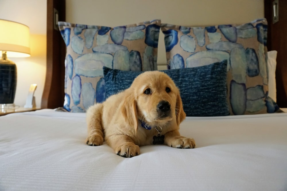 Balboa Bay Resort 30/71