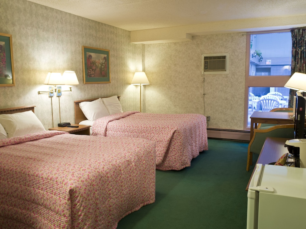 Bluebird Hotel 5/20