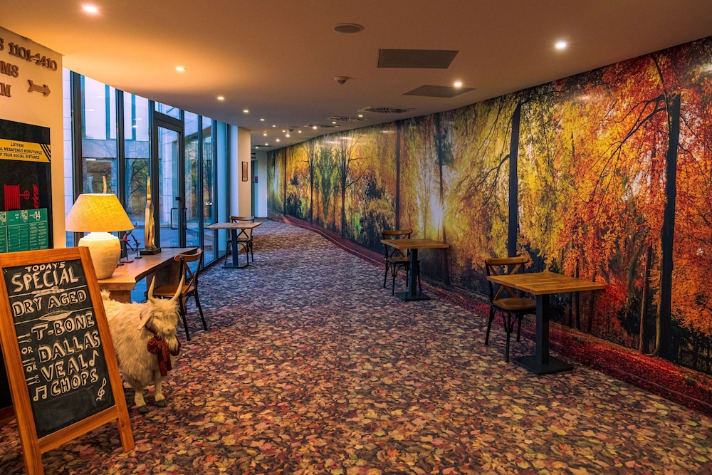 Park Inn By Radisson Istanbul Airport Odayeri 34/71