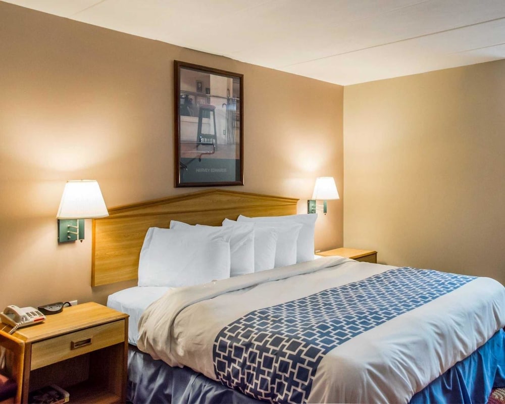 Econo Lodge Franklin - Springboro 17/33