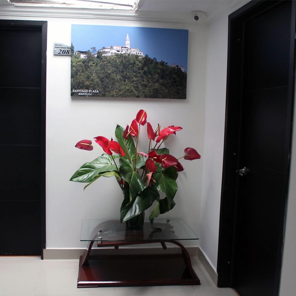 Hotel Santiago Plaza photo3