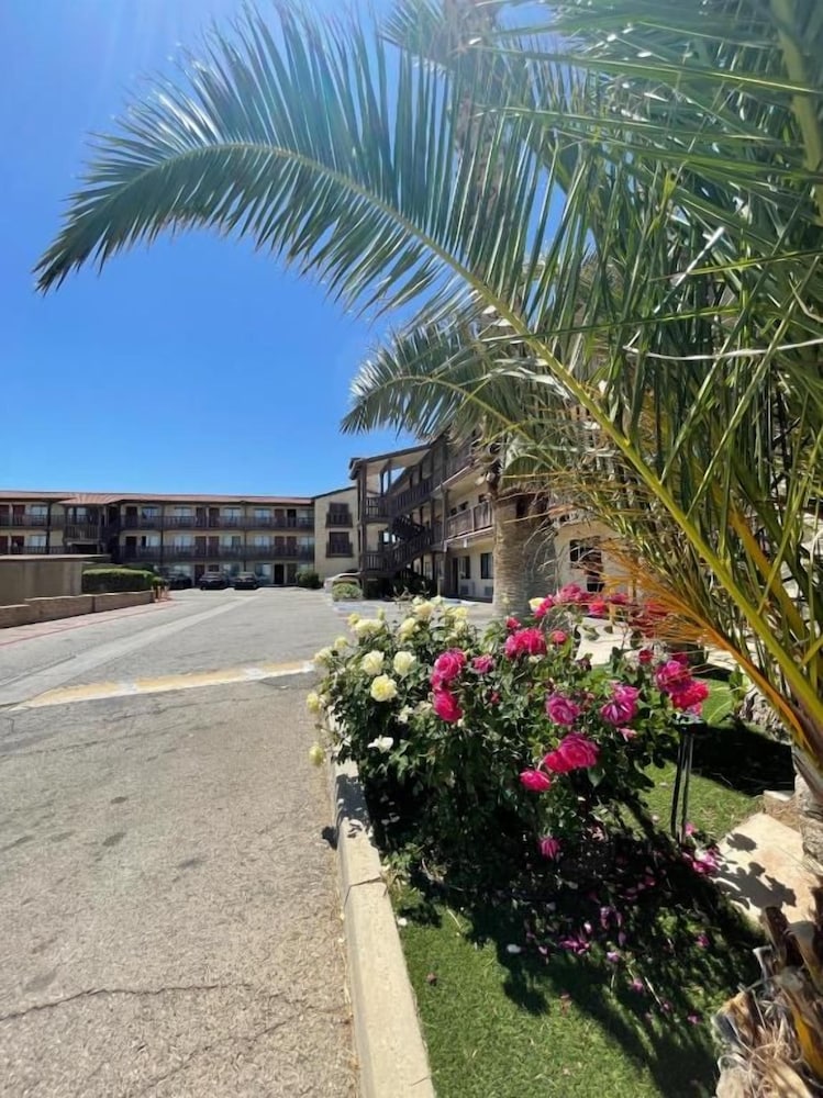 Palms Inn & Suites 36/50