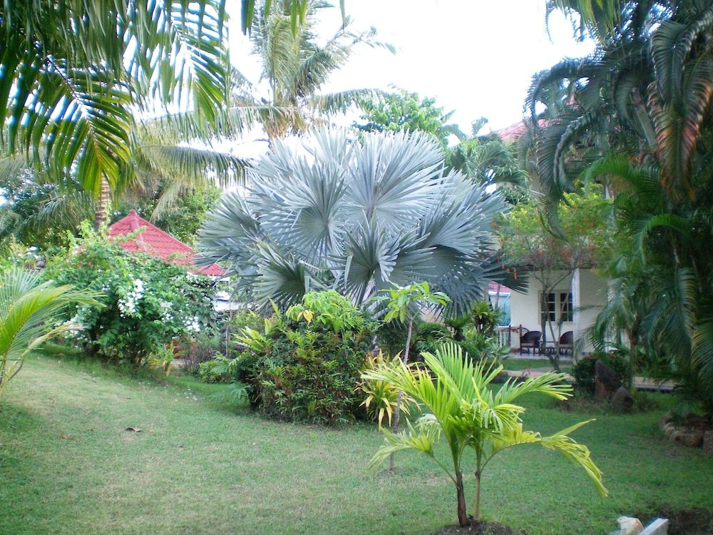 Patong Palace Hotel 35/50