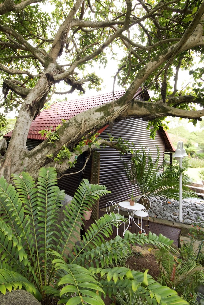Beetleloop Guest House 44/50