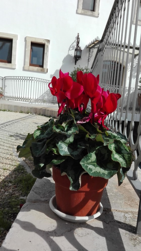 Relais Sant' Eligio 45/50