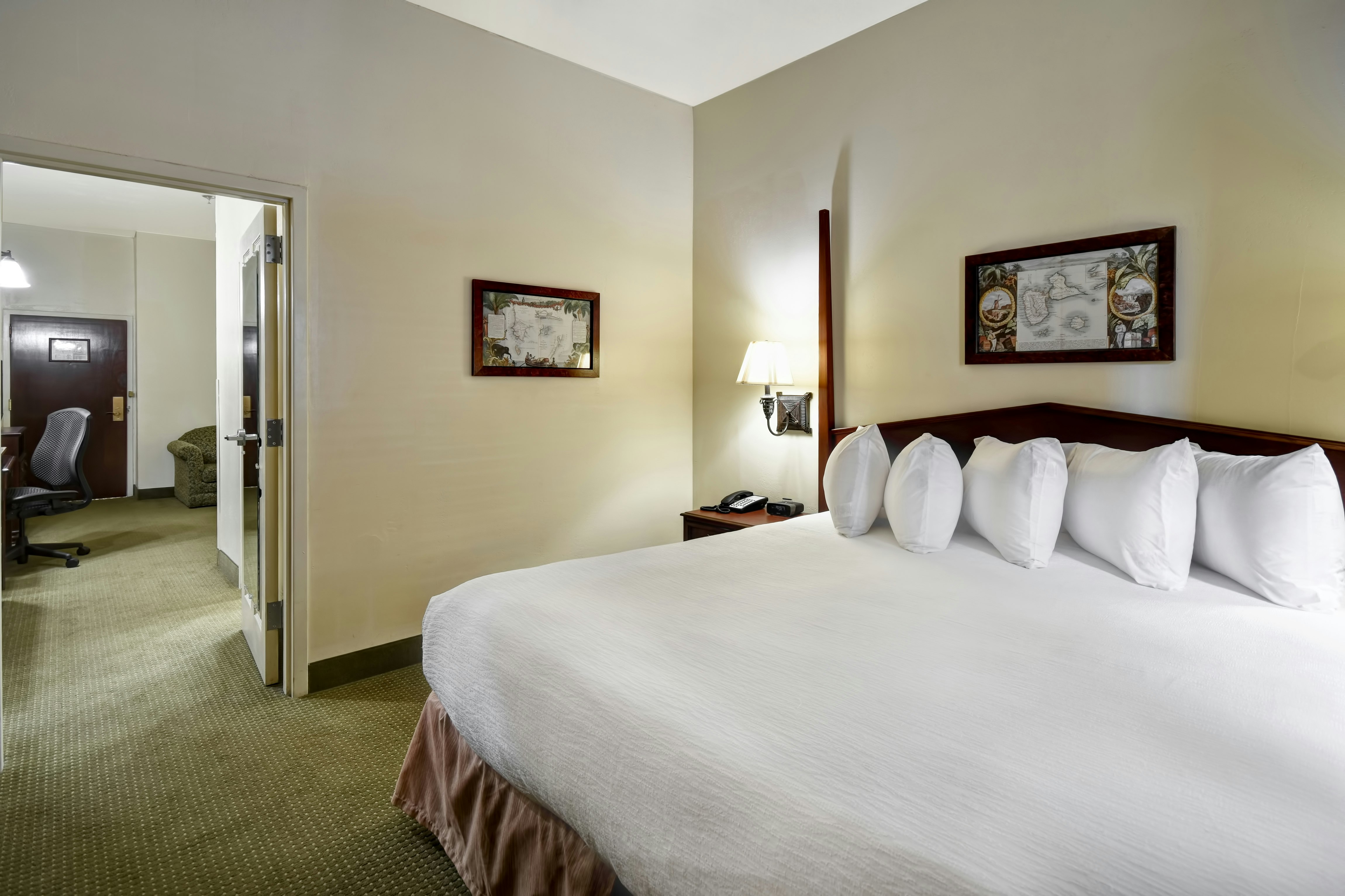 SUITE, KING BED, ACCESSIBLE