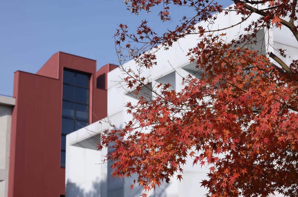 Yitel Hotel shanghai hongqiao Airport Lianming Road branch (ex Timeless Boutique House) in SHANGHAI