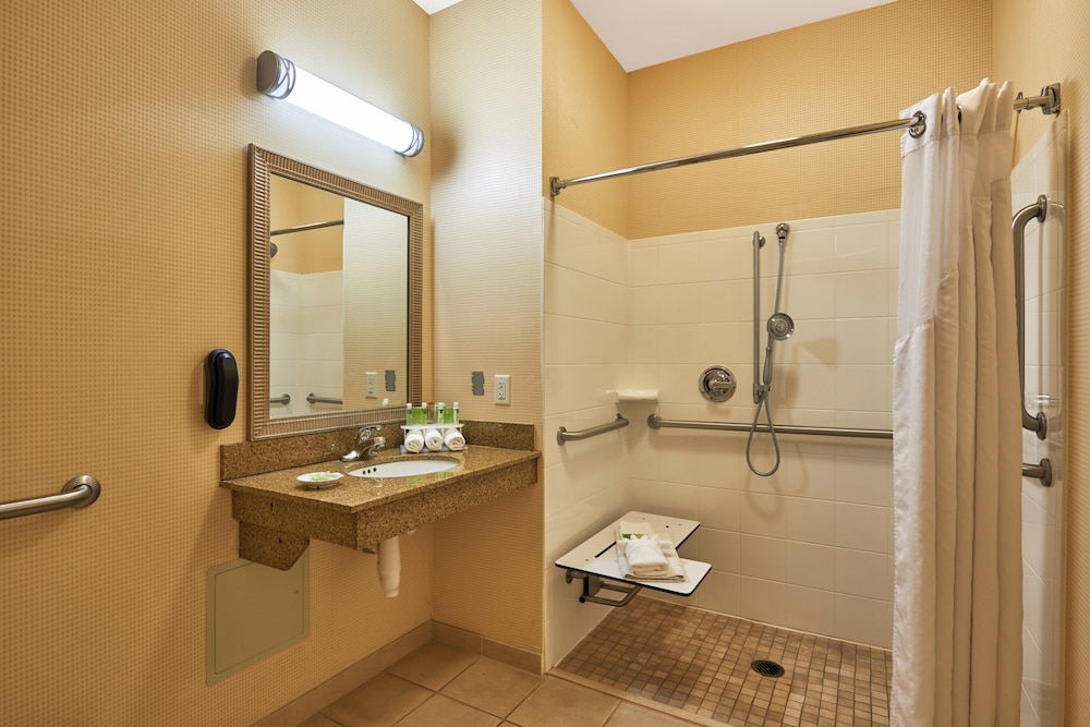 Holiday Inn Express Hotel and Suites El Paso Airport Area 64/64
