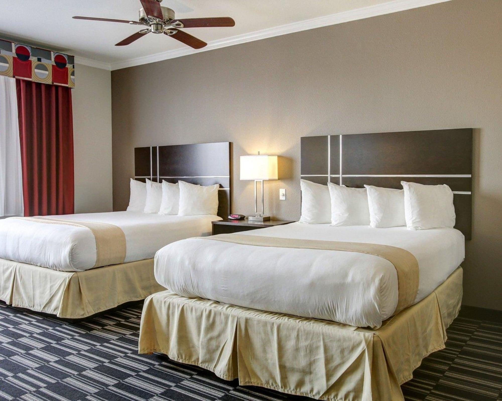 Suite, Multiple Beds, Accessible