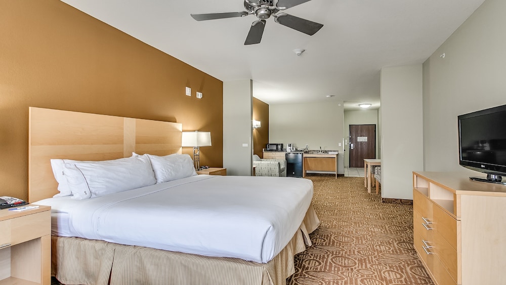 Holiday Inn Express & Suites Lubbock Southwest - Wolfforth 18/50