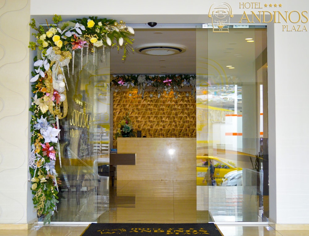 Hotel Andinos Plaza 3/48